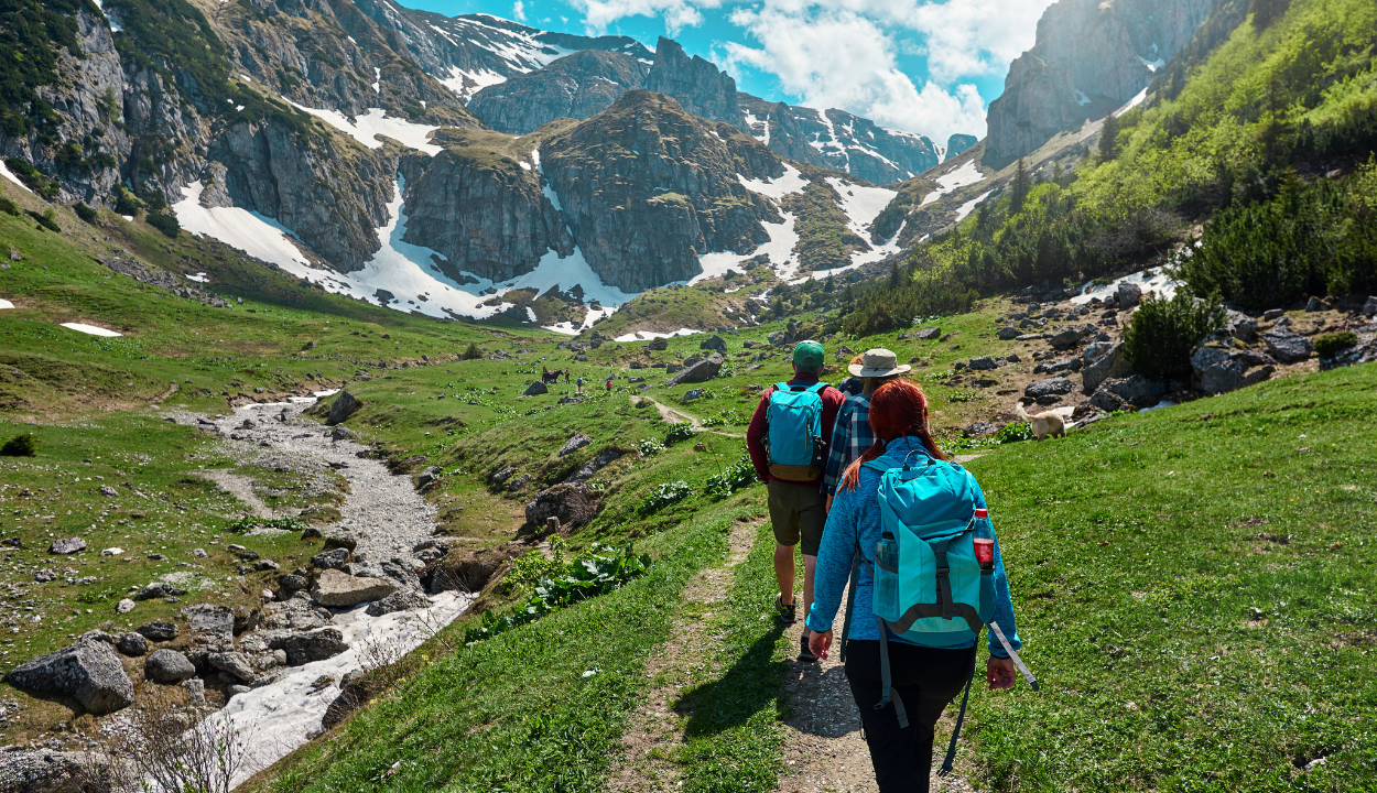 Himachal Amritsar Combo Tour